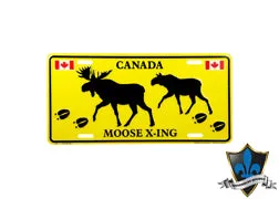 Canada license plate 20cm x 10cm.