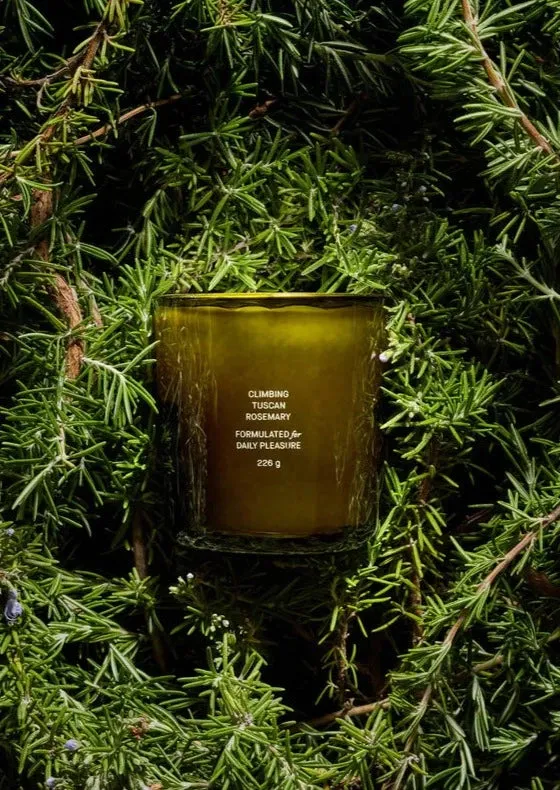 Climbing Tuscan Rosemary Candle