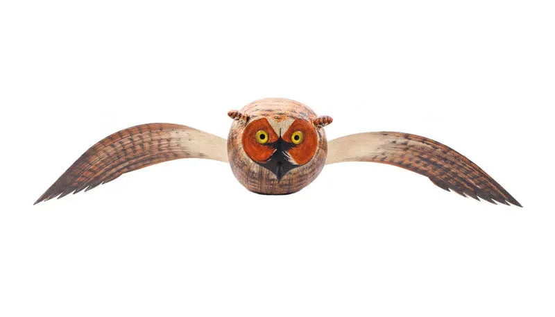 Flying Horned Owl