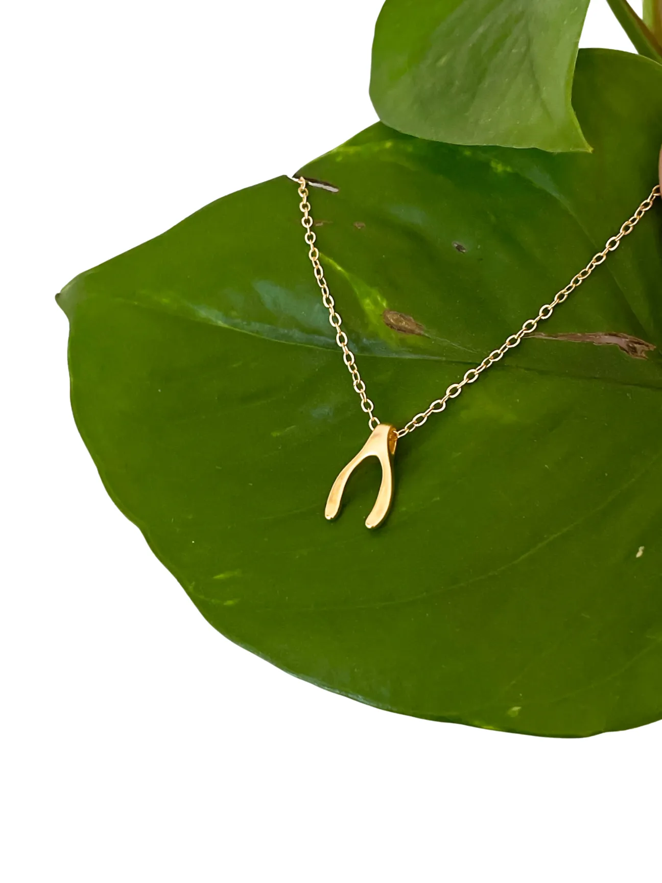 Wishbone Pendant Necklace